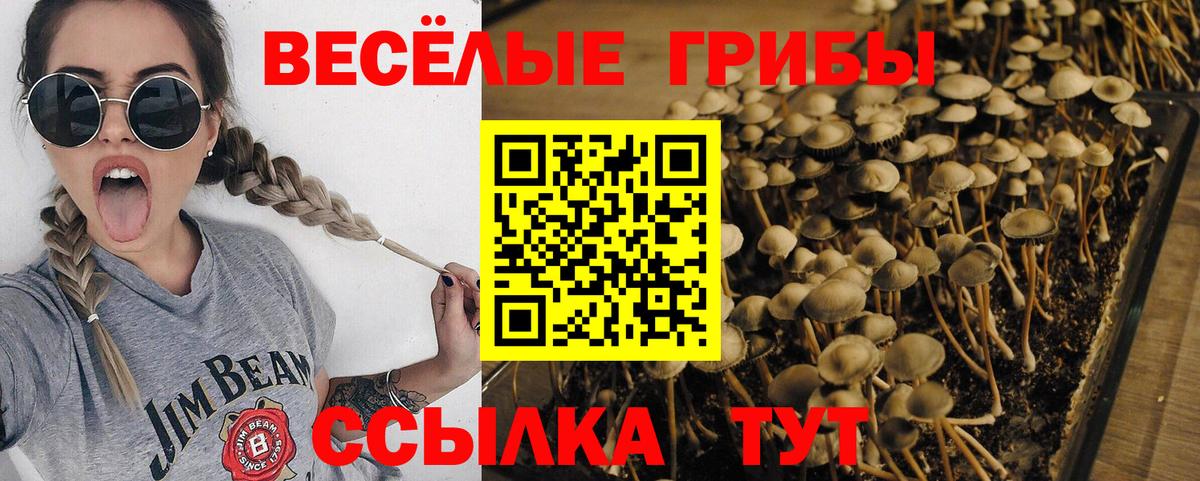 Псилоцибиновые грибы ЛСД  Вход с VPN  Луга 