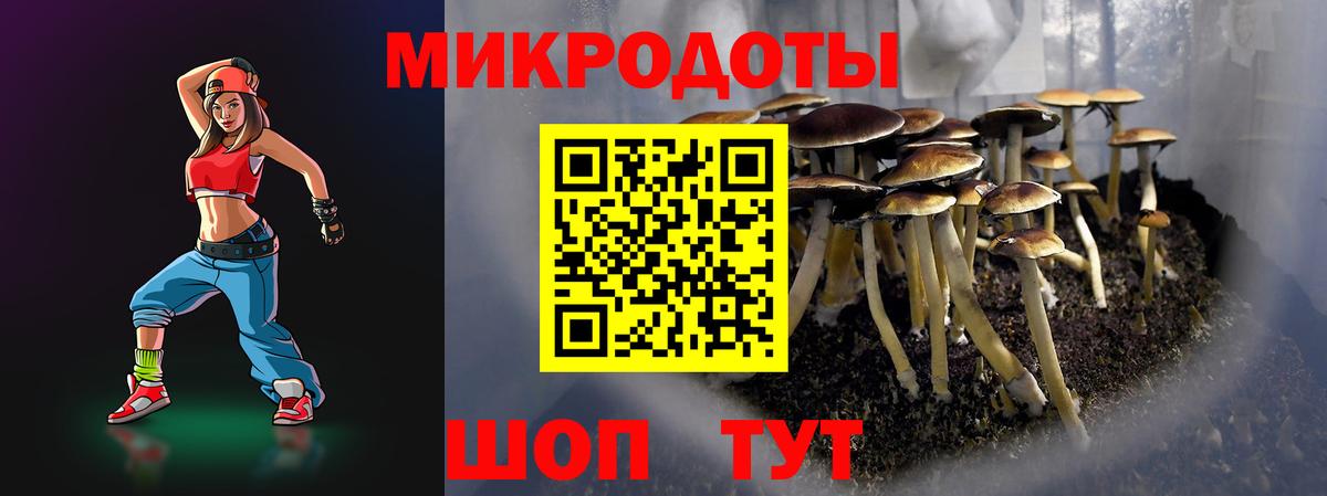 Галлюциногенные грибы Psilocybe Луга